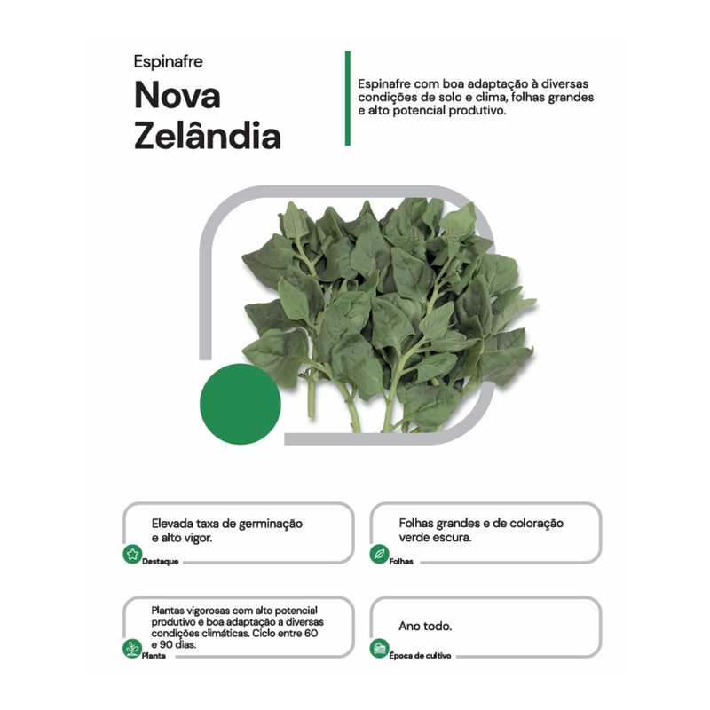 SEMENTES ESPINAFRE NOVA ZELANDIA HORTICERES 200G