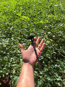 MULCHSTAKE ESTACA P/ FIXAÇÃO MULCHING 1000UN