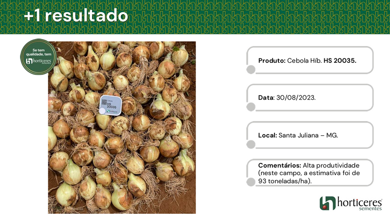 CEBOLA HÍBRIDA RAÍZA HORTICERES 100.000 SEMENTES