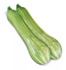 ABOBRINHA HÍBRIDA SANDY SAKATA 1000 SEMENTES