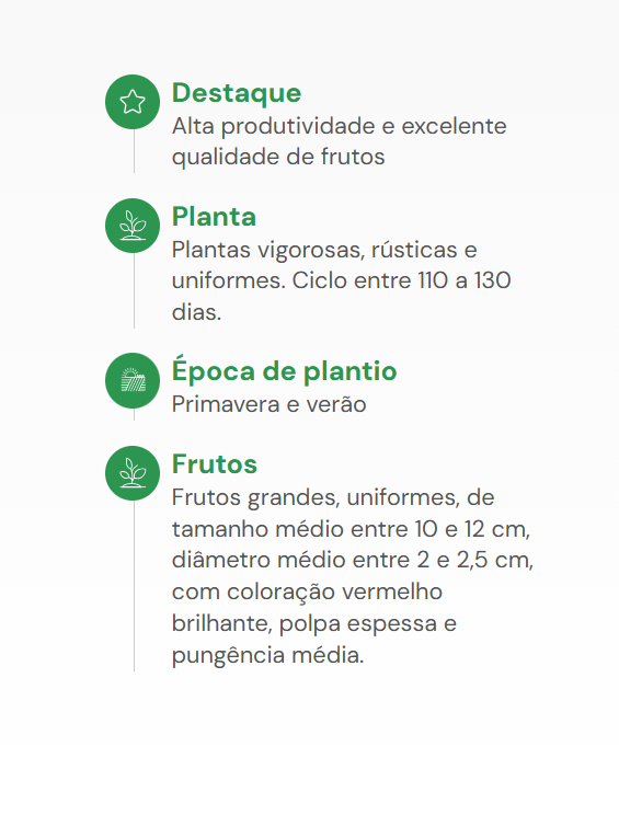 PIMENTA MEXICALI DEDO DE MOÇA HORTICERES 1000 SEMENTES