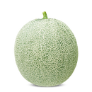 MELAO CANTALOUPE BS CANTAMERICANO BLUESEEDS 1000 SEMENTES