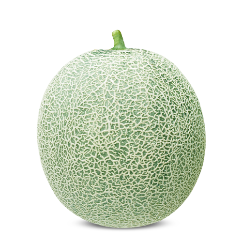 MELAO CANTALOUPE BS CANTAMERICANO BLUESEEDS 1000 SEMENTES