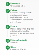 ALFACE FRISEE GREEN FRIZZLY HORTICERES 1000 SEMENTES