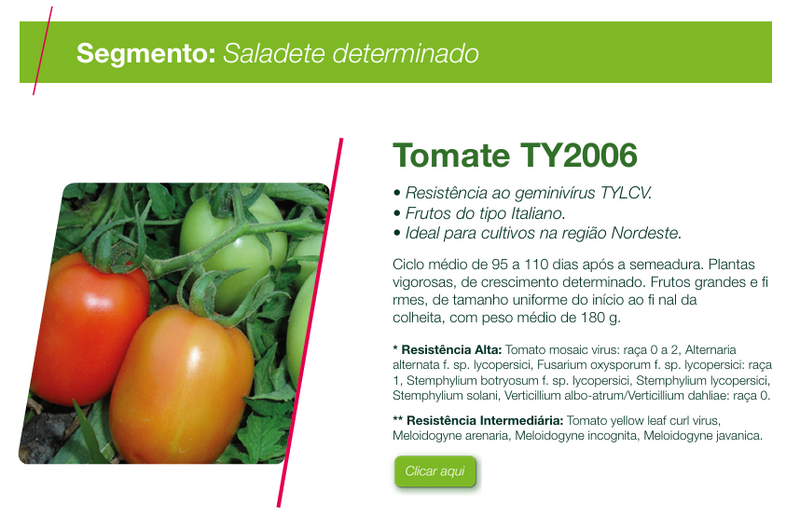 TOMATE HIBRIDO TY 2006 SEMINIS 1000 SEMENTES