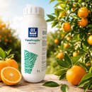FERTILIZANTE YARAAMPLIX BIOTRAC YARA 1L