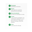 SEMENTES JILÓ VERDE CLARO HORTICERES 100G