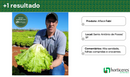 ALFACE CRESPA FABI HORTICERES 5000 SEMENTES