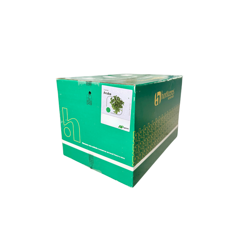 SEMENTES COENTRO PORTUGUES ARUBA HORTICERES 5KG