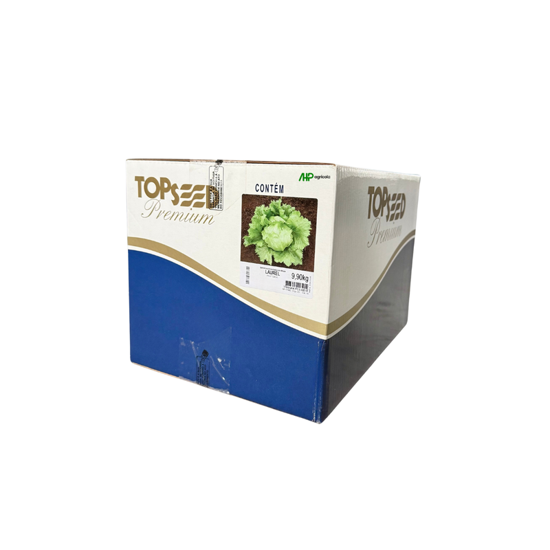 ALFACE AMERICANA LAUREL TOPSEED 250000 SEMENTES