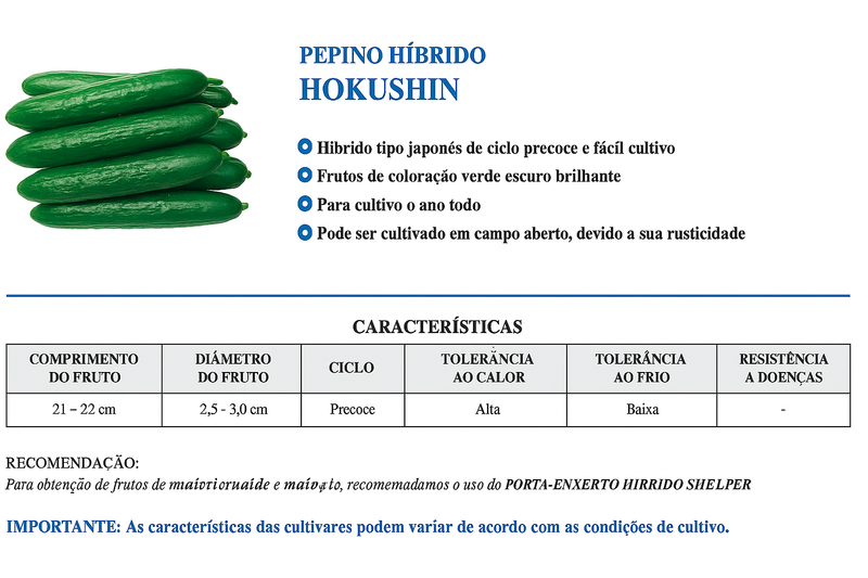 PEPINO JAPONES HIBRIDO HOKUSHIN TAKII SEED 350 SEMENTES