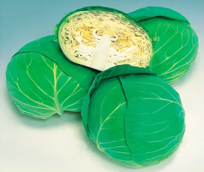 SEMENTES REPOLHO HÍBRIDO SHUTOKU TAKII 100G