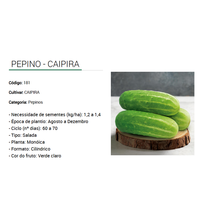 SEMENTES PEPINO CAIPIRA TSV 100G