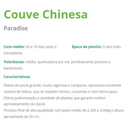 COUVE-CHINESA HÍBRIDA PARADISE BLUESEEDS 2500 SEMENTES