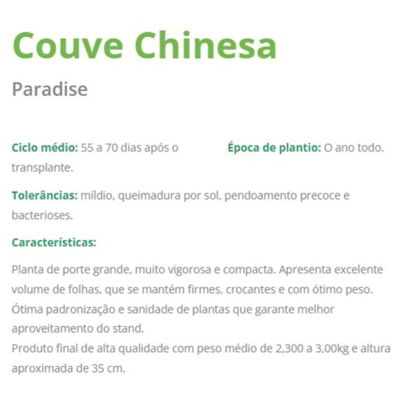COUVE-CHINESA HÍBRIDA PARADISE BLUESEEDS 2500 SEMENTES