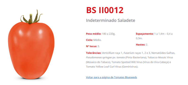 TOMATE SALADETE HIBRIDO BS II0012 BLUESEEDS 1000 SEMENTES