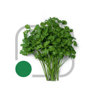 SEMENTES COENTRO VERDÃO HORTICERES 500G