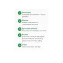 SEMENTES ABÓBORA MORANGA EXPOSIÇÃO HORTICERES 100G