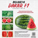 MELANCIA HIBRIDA DAKAR F1 AGROCINCO 1000 SEMENTES