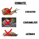 LESMICIDA ORGÂNICO SLUGGO NEUDORFF CARAJUMOS LESMAS 1KG