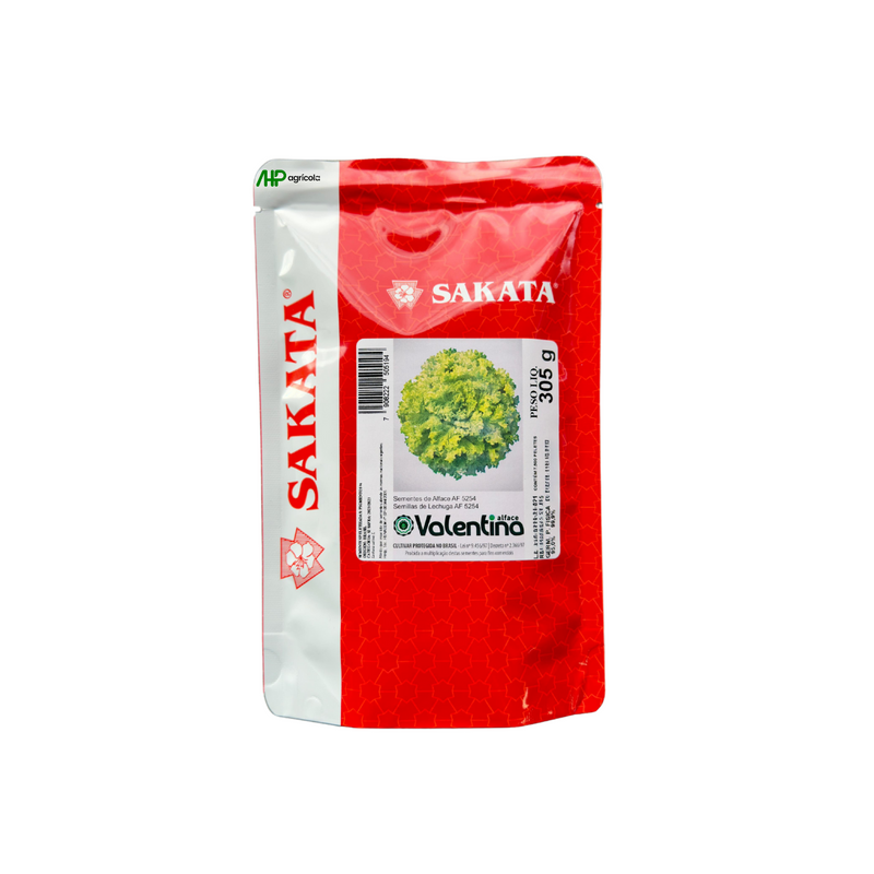 ALFACE CRESPA VALENTINA 7500 SEMENTES SAKATA