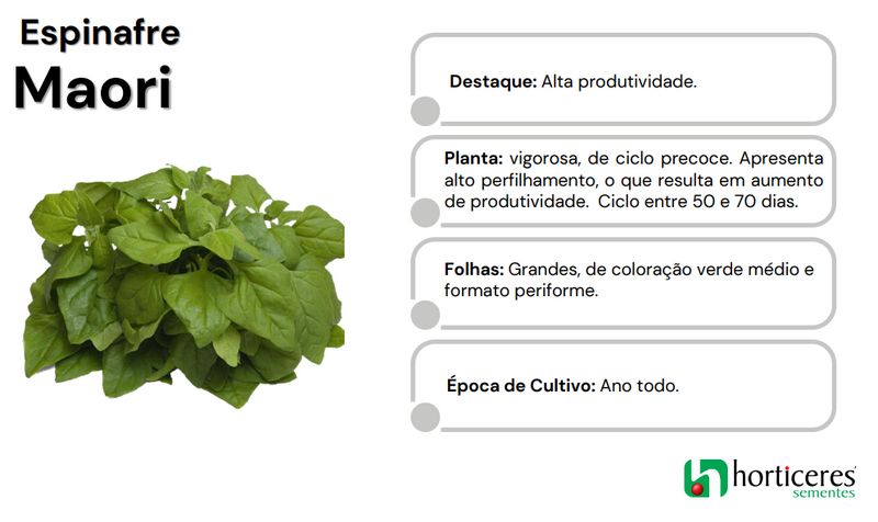 SEMENTES ESPINAFRE MAORI HORTICERES 200G