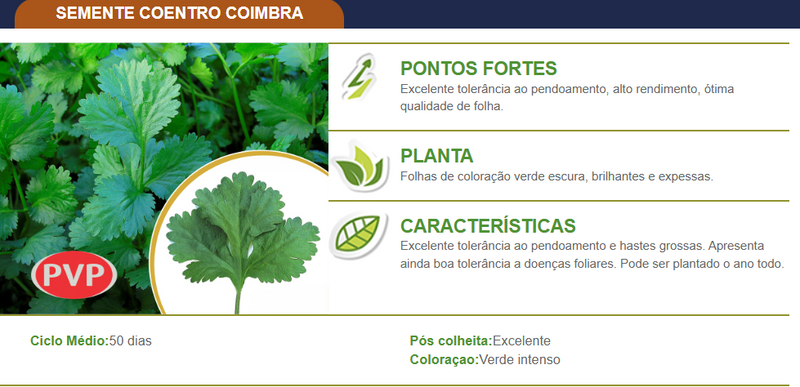 SEMENTES COENTRO COIMBRA TOPSEED PREMIUM 500G