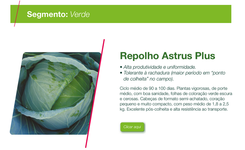 REPOLHO HIBRIDO ASTRUS PLUS SEMINIS 25000 SEMENTES