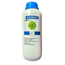 ALFACE CROCANTE BS CROC0163 BLUESEEDS 25000 SEMENTES