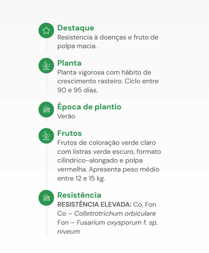 SEMENTES MELANCIA FAIRFAX HORTICERES 100g