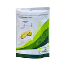 ABOBRINHA CASERTA HIBRIDA TIGERGREY SEMINIS 1000 SEMENTES