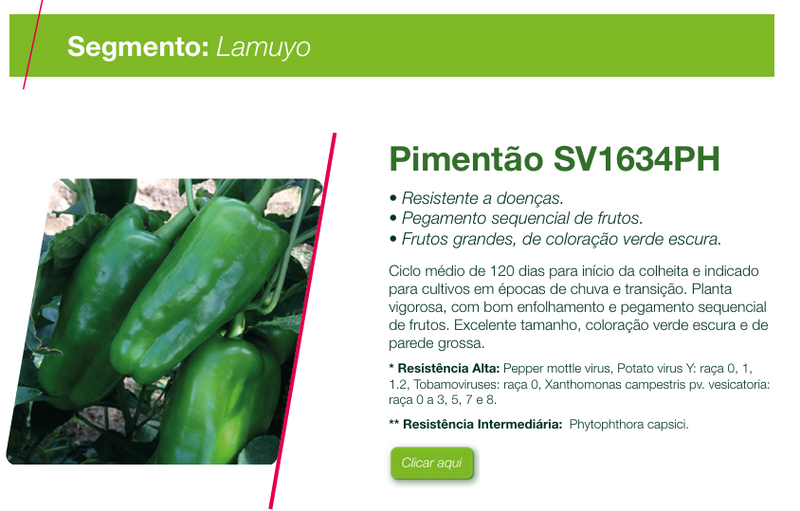 PIMENTAO HIBRIDO SV1634PH SEMINIS 1000 SEMENTES