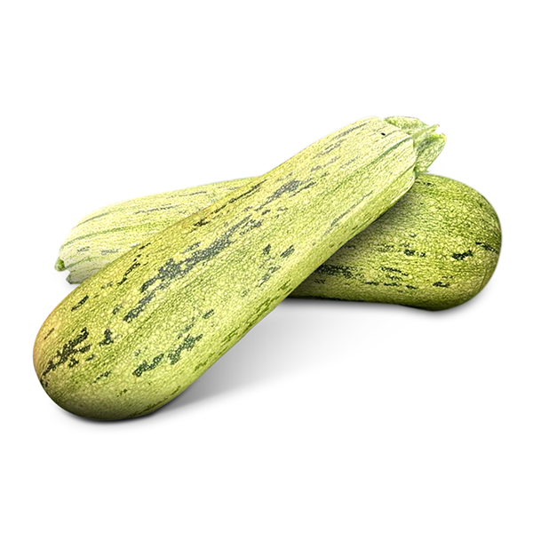 ABOBRINHA CASERTA HIBRIDA TIGERGREY SEMINIS 1000 SEMENTES