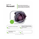 REPOLHO ROXO HIBRIDO MURASAKI HORTICERES 1000 SEMENTES