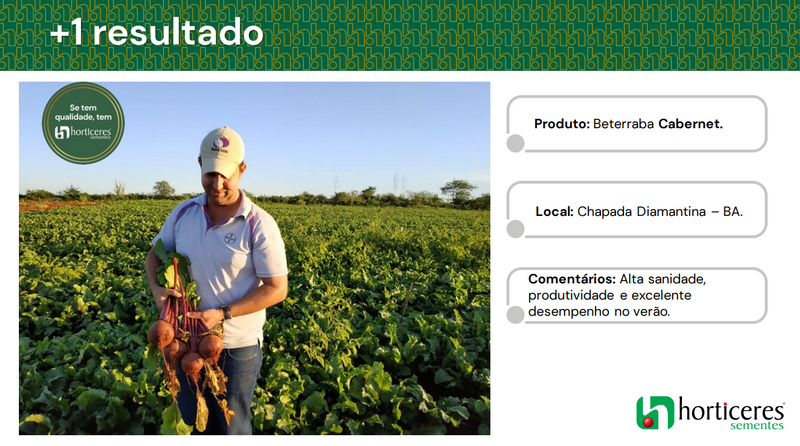 BETERRABA HIBRIDA CABERNET HORTICERES 5000 SEMENTES