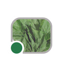 SEMENTES MOSTARDA LISA DA FLORIDA HORTICERES 100G