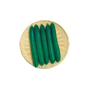 PEPINO JAPONES HIBRIDO COMMANDER TAKII 350 SEMENTES