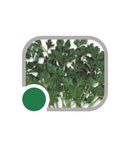 SEMENTES SALSA LISA HORTICERES 100G