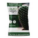 Substrato Para Cactos E Suculentas Ouro Negro 5 L