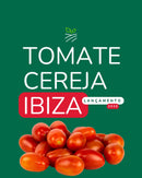 TOMATE GRAPE CEREJA HIBRIDO IBIZA EWS 500 SEMENTES