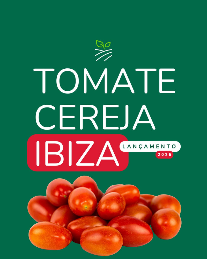 TOMATE GRAPE CEREJA HIBRIDO IBIZA EWS 500 SEMENTES