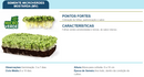 SEMENTES MICROVERDE MOSTARDA TOPSEED 500G