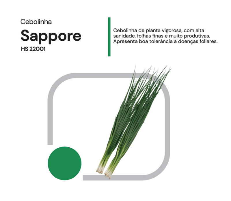 SEMENTES CEBOLINHA HIBRIDA SAPPORE 500G HORTICERES