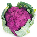 COUVE FLOR 26-972 RIJK ZWAAN 1000 SEMENTES