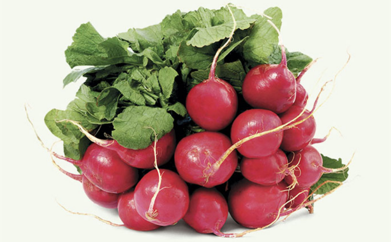 SEMENTES RABANETE N19 SAKATA HIBRIDO 500G