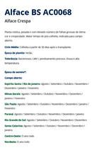 ALFACE CRESPA BS AC0068 BLUESEEDS 25000 SEMENTES