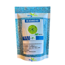 ALFACE CROCANTE BS CROC0163 BLUESEEDS 7500 SEMENTES