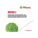 ALFACE CRESPA MILENA SAKATA 7500 SEMENTES