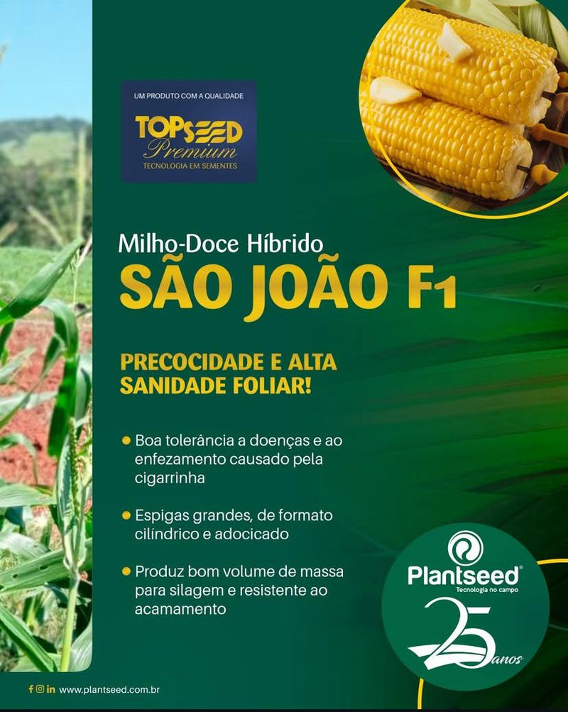 MILHO DOCE HIBRIDO SAO JOAO F1 TOPSEED 5000 SEMENTES