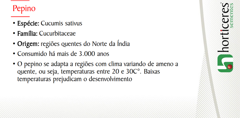 PEPINO CAIPIRA HIBRIDO DISCOVERY HORTICERES 1000 SEMENTES